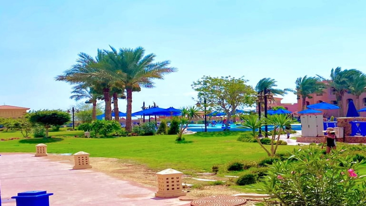 محل للايجار في المهندسين .Shop for rent in Mohandiseen