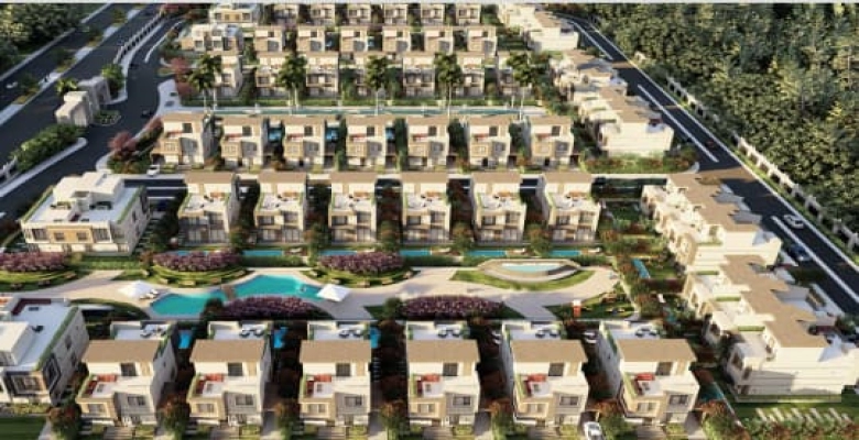 Bianca New Zayed